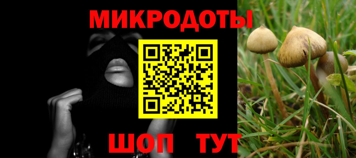 Саянск  Псилоцибиновые грибы ЛСД  Псилоцибиновые грибы мухоморы  Вход с VPN 